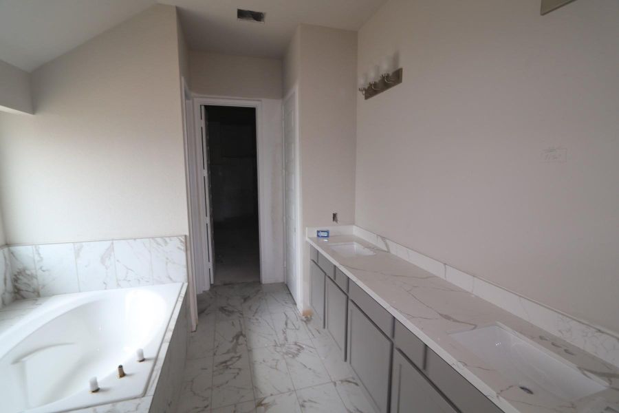 Owner's bath - Still under construction!