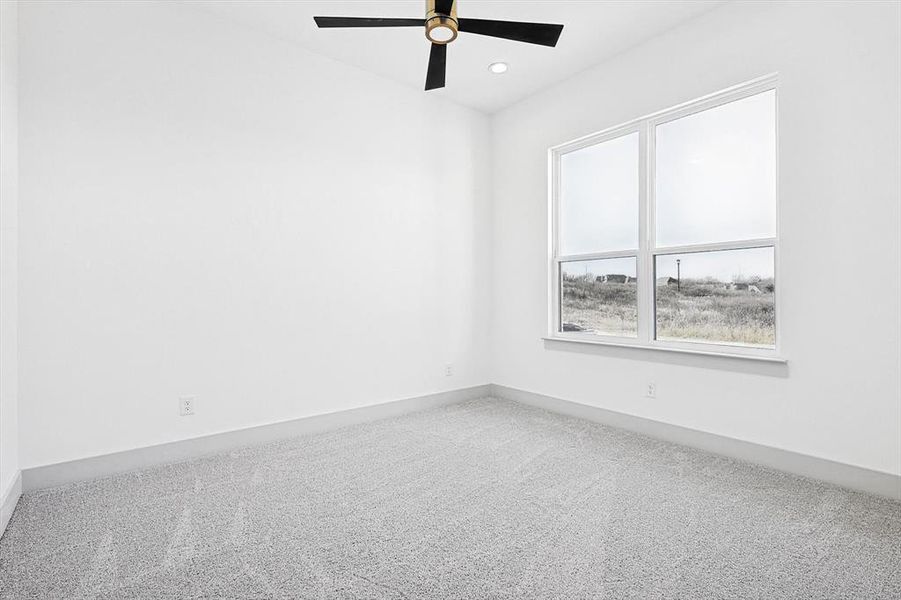 Unfurnished room featuring ceiling fan and carpet floors