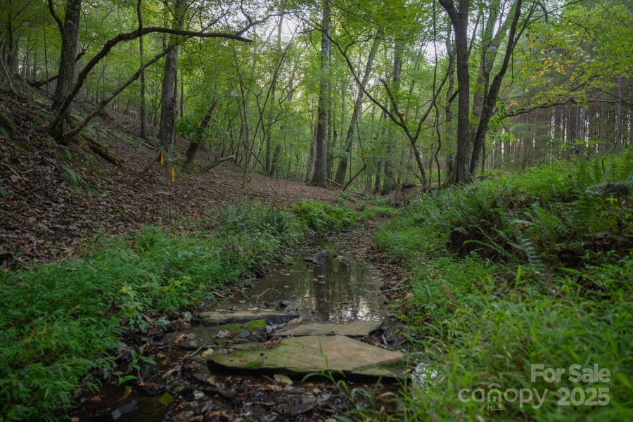 The estate property promotes a closer connection to nature.