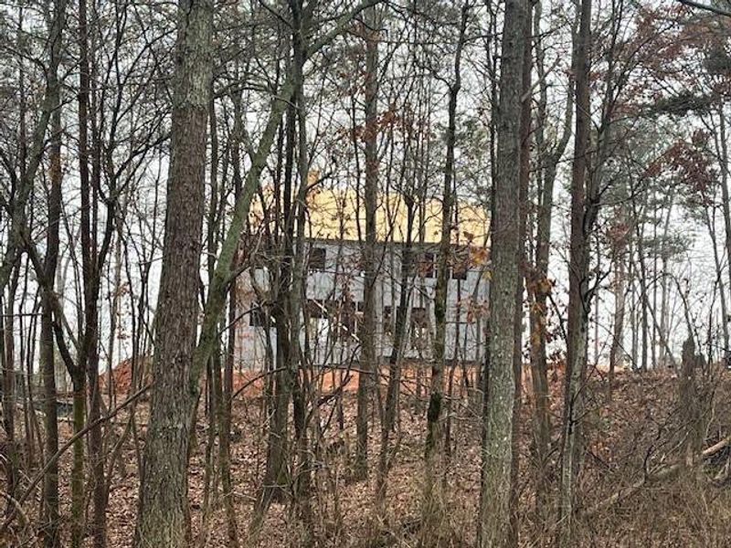 Image 48 of a home in Chattahoochee Reserve.