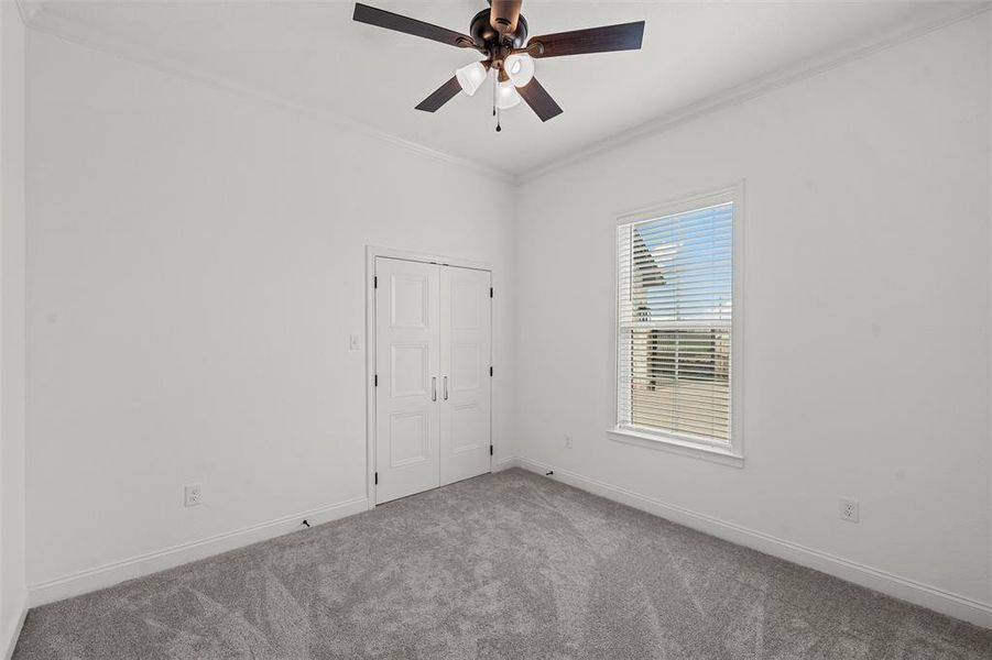Spare room featuring carpet, ornamental molding, and ceiling fan Spare room featuring carpet, ornamental molding, and ceiling fan