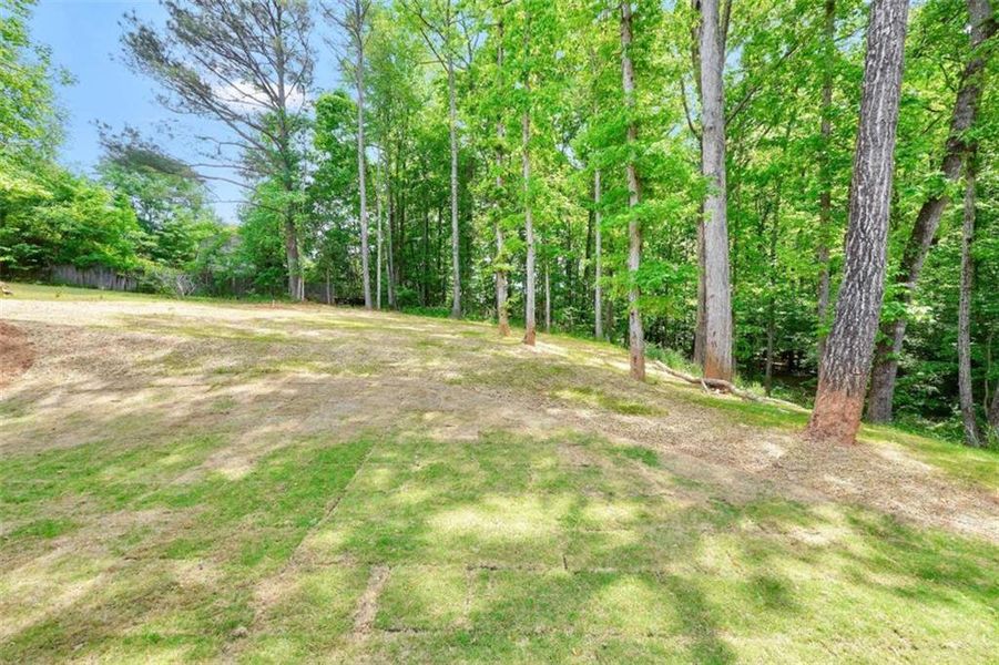 Natural landscape and outdoor views near  in Covington (Image 33).