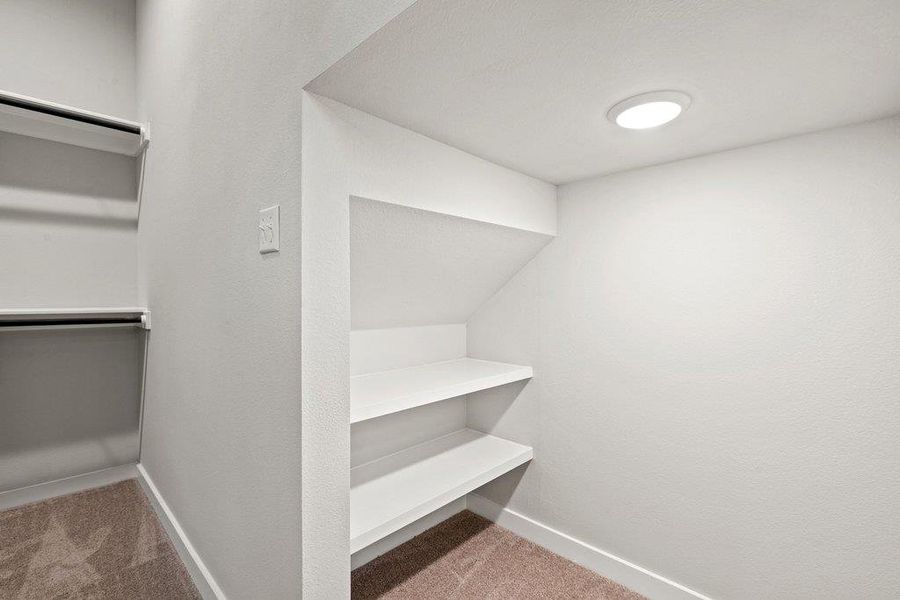 Walk in closet with light carpet
