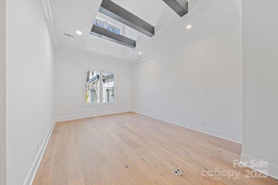 Den with Ceiling Feature