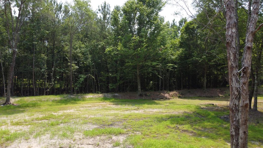 Natural landscape and outdoor views near  in Huger (Image 18).