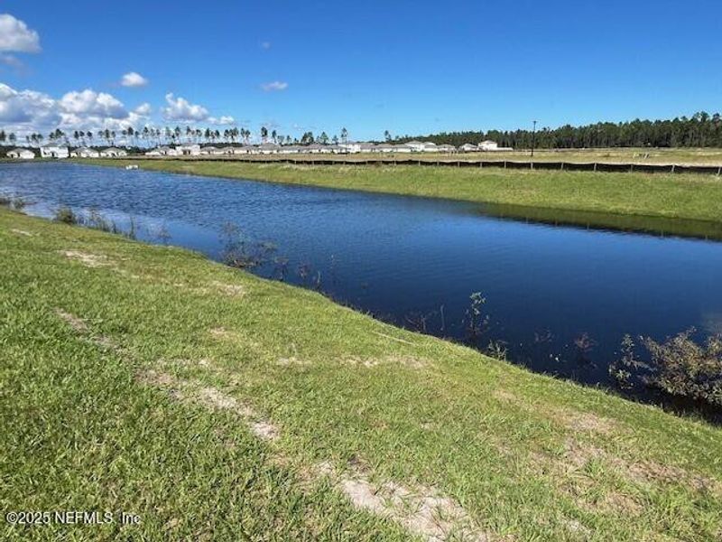 Natural landscape and outdoor views near Sawmill Branch Express in Palm Coast (Image 56).