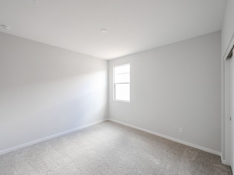 A room with a carpet and windows.