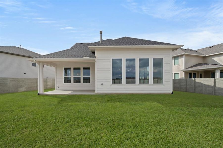 1562 Ginger- Back-5285