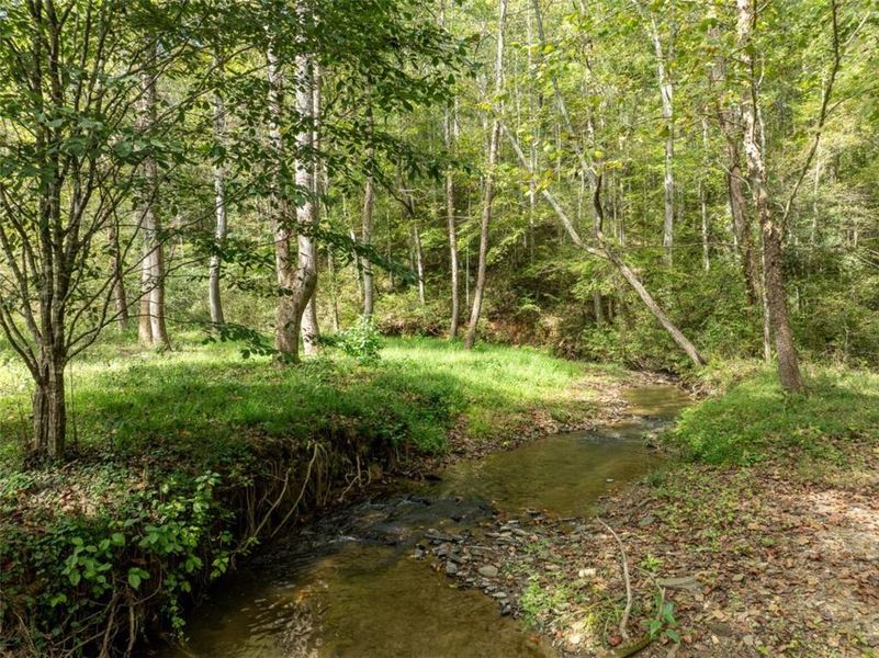Natural landscape and outdoor views near  in Ellijay (Image 71).