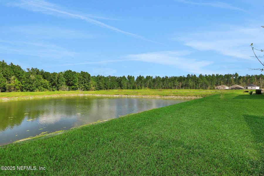 Natural landscape and outdoor views near Bellbrooke in Jacksonville (Image 45).