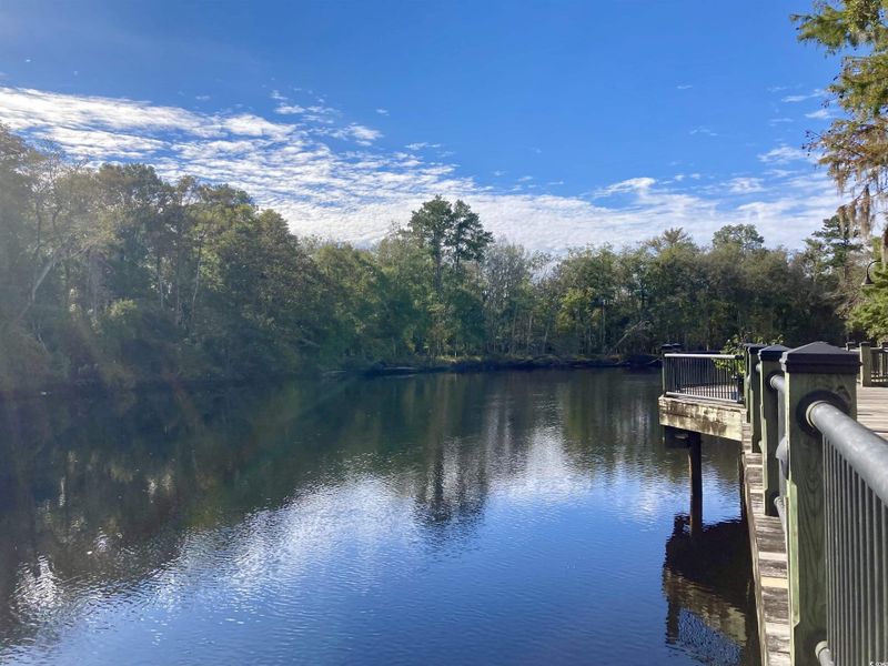 Dock area with a water view and a view of trees