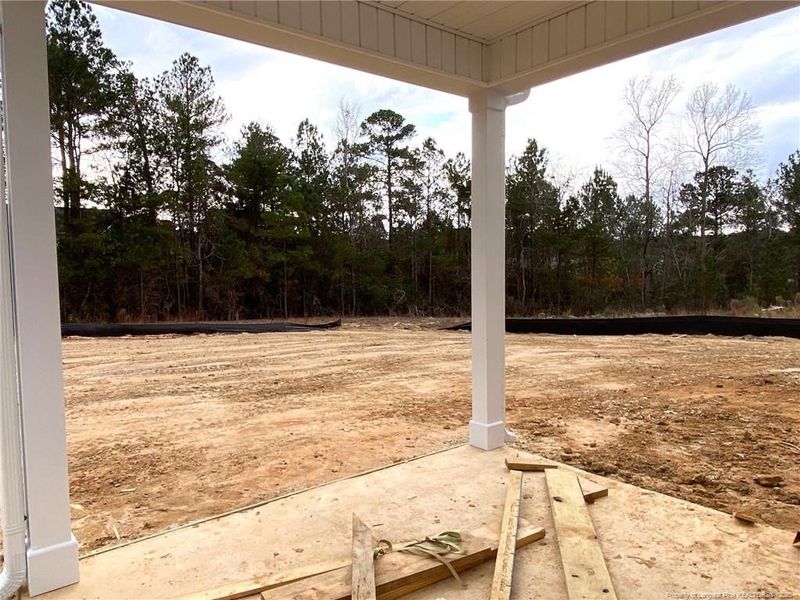 Photo taken: 11/25/2025 Photo taken: 11/25/2025