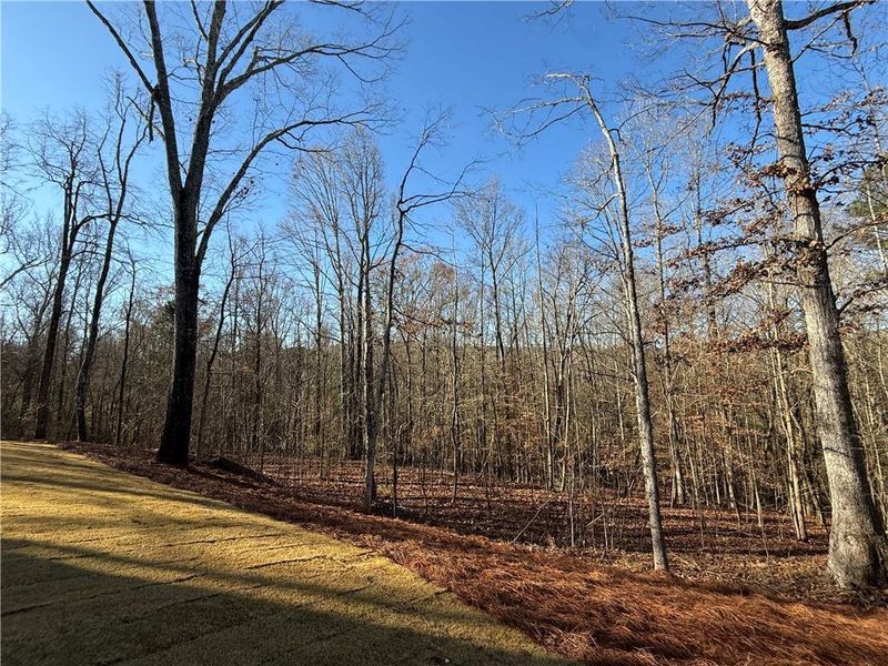 Natural landscape and outdoor views near  in Jefferson (Image 82).