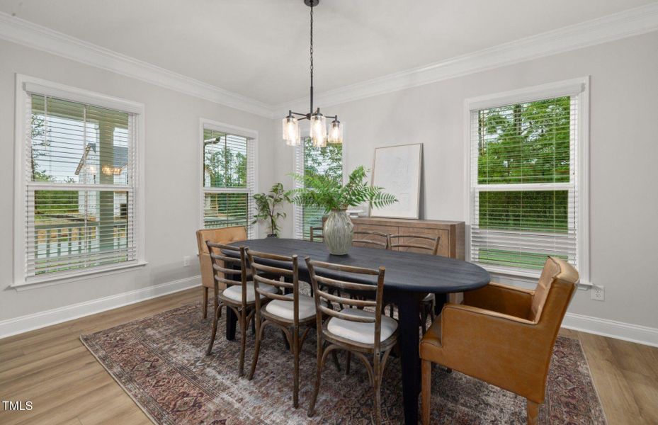 56-web-or-mls-7K5A9617 (2)