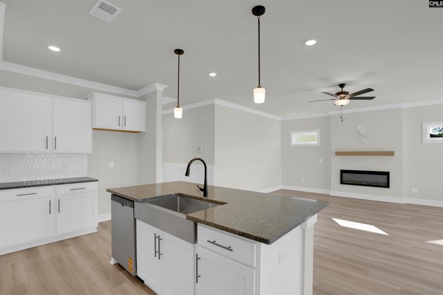 Furnished interior view inside a new home in Old Charleston Acres, Pelion (Image 8).