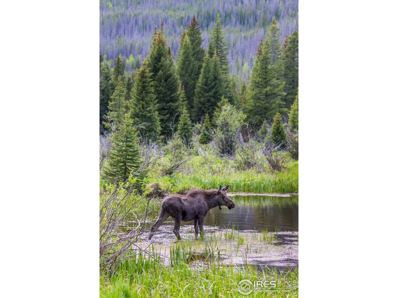 Image 8 of a home in .