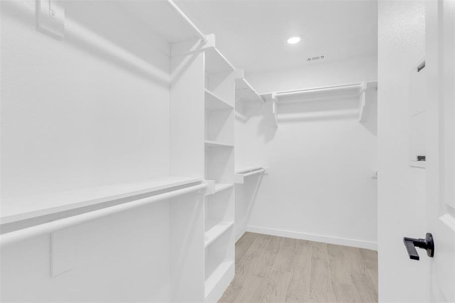 Spacious closet featuring light wood finished floors