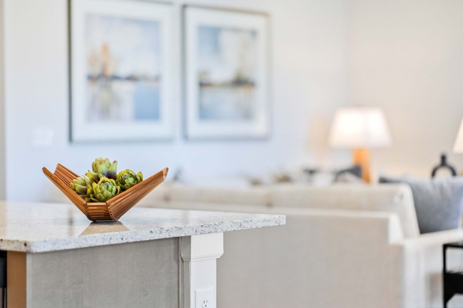 Close-up of interior finishes inside a home in Hampshire Hills, Columbia (Image 22). Close-up of interior finishes inside a home in Hampshire Hills, Columbia (Image 22).