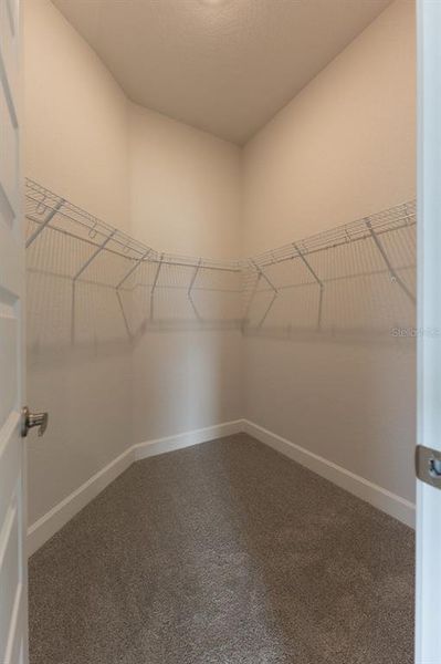 Spacious, unfurnished interior of a new home in Oak Hill Plantation, Ocala (Image 9). Spacious, unfurnished interior of a new home in Oak Hill Plantation, Ocala (Image 9).