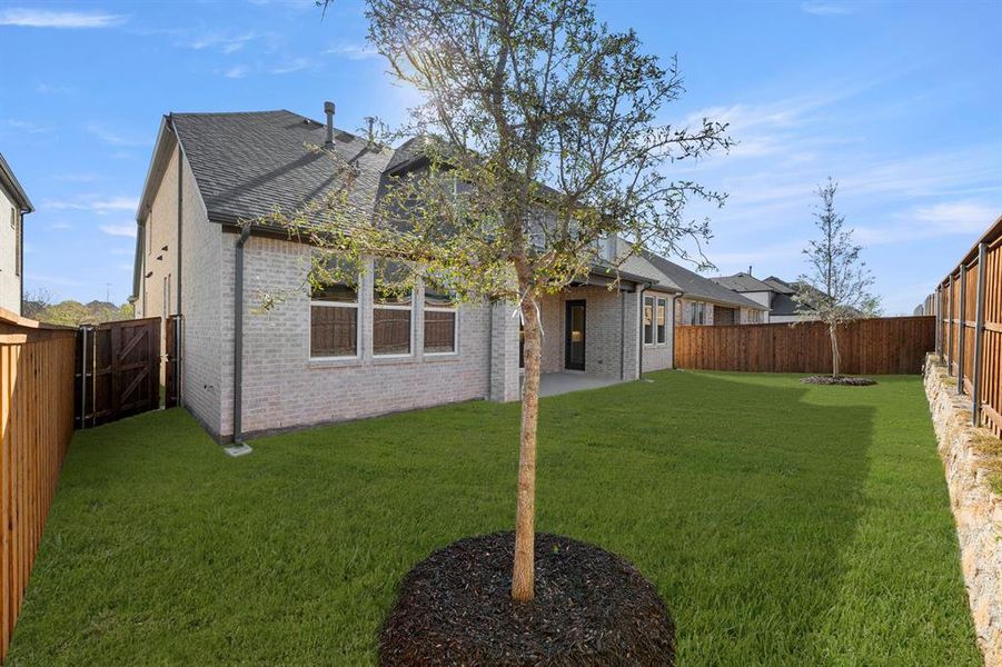 27. 2232 Euclid - Back (2) 27. 2232 Euclid - Back (2)