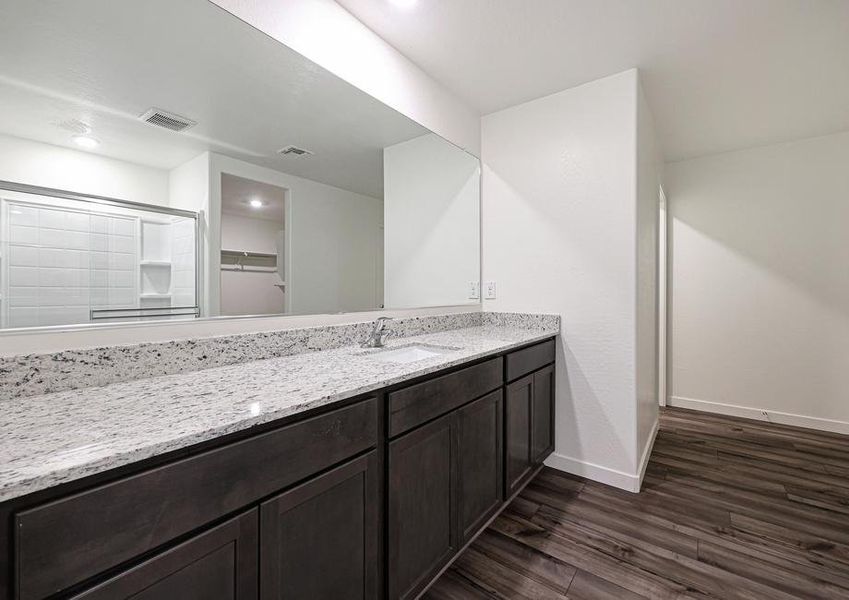 The master bath has a stunning vanity!