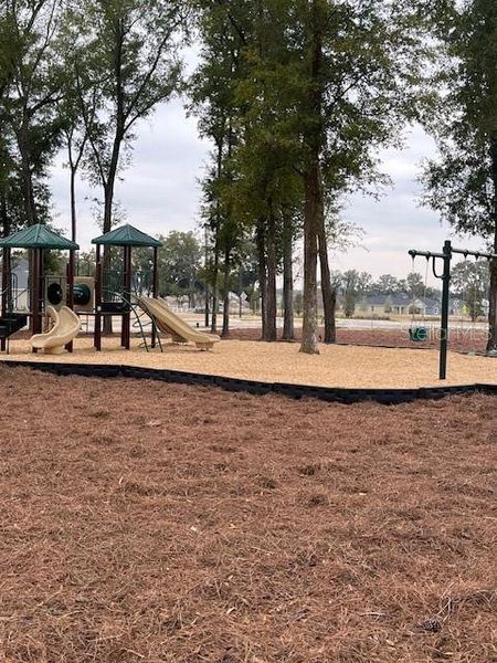 Community amenities in Marion Ranch, Ocala (Image 36).