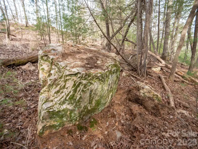 Natural landscape and outdoor views near  in Asheville (Image 7).