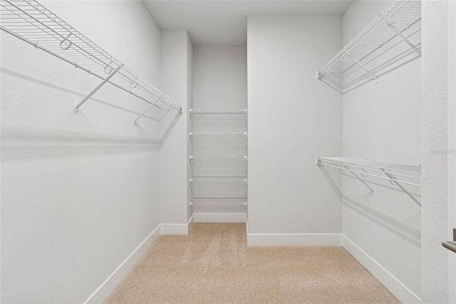 Spacious, unfurnished interior of a new home in Apex at Seminole Heights, Tampa (Image 39). Spacious, unfurnished interior of a new home in Apex at Seminole Heights, Tampa (Image 39).