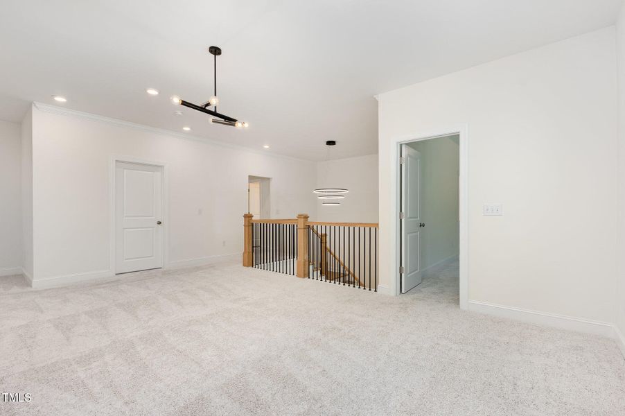 024_cj4a3847-edit_258 024_cj4a3847-edit_258