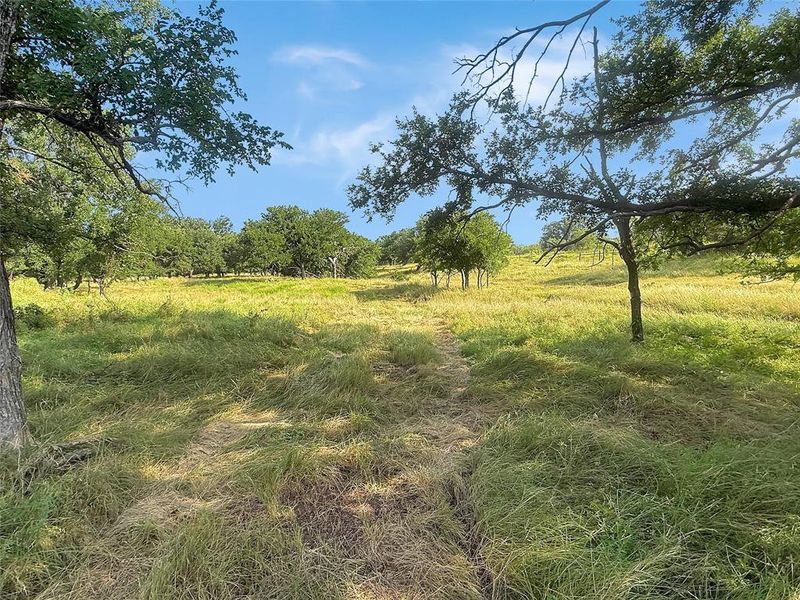 Natural landscape and outdoor views near  in Eastland (Image 28).