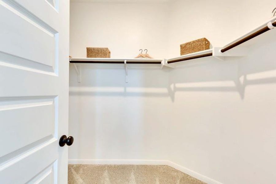 Walk in closet featuring carpet