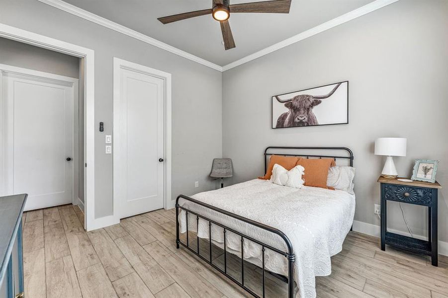 Bedroom featuring ornamental molding, light wood-type flooring, and ceiling fan