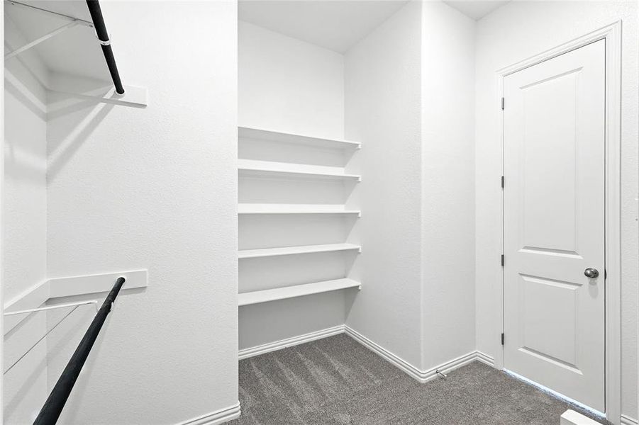 Spacious closet featuring dark carpet