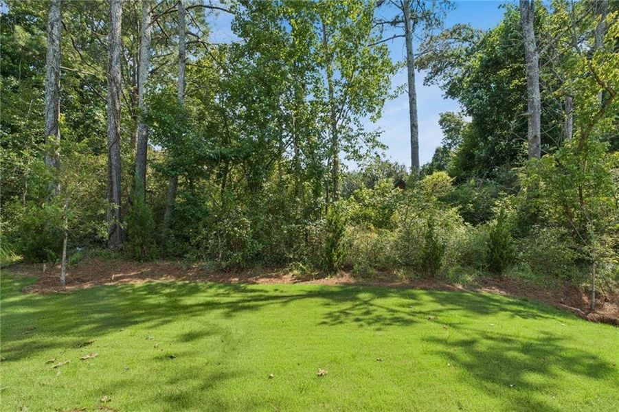 Natural landscape and outdoor views near Settingdown Farms in Cumming (Image 18).