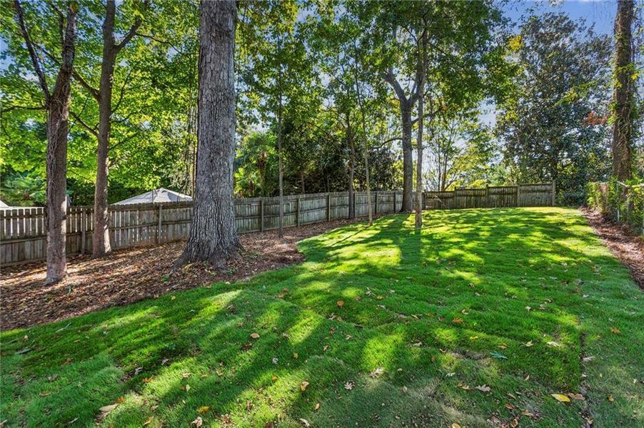 Natural landscape and outdoor views near  in Atlanta (Image 46).