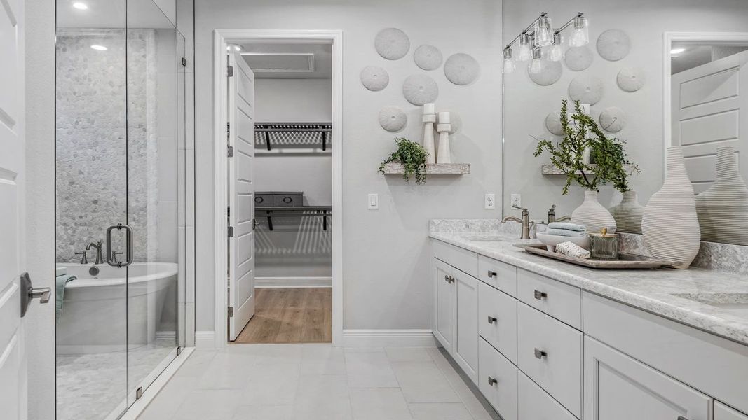 Owner's Bath