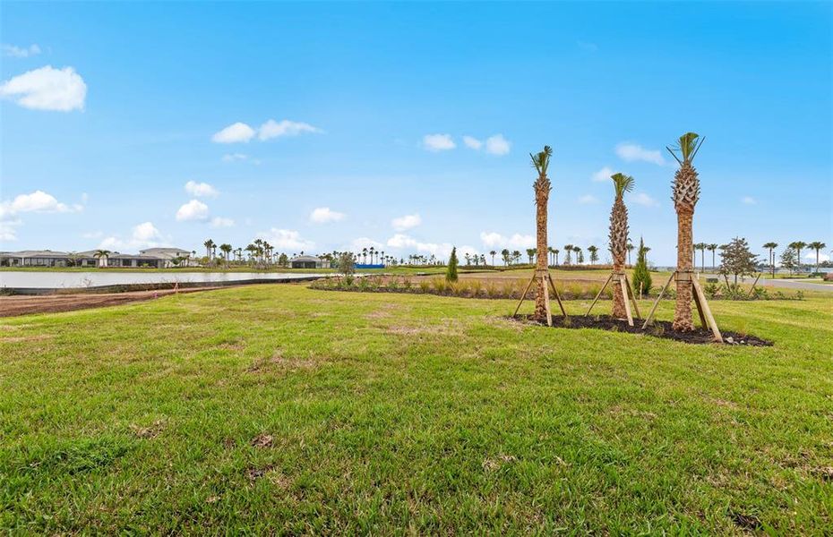 Natural landscape and outdoor views near Del Webb Catalina in Lakewood Ranch (Image 33).