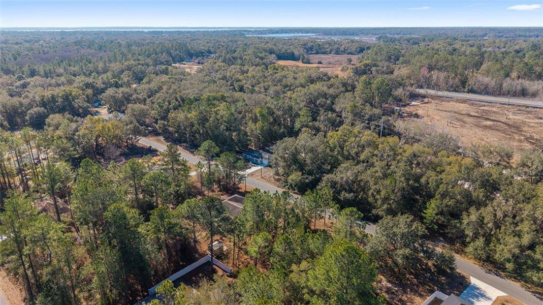 Natural landscape and outdoor views near  in Ocala (Image 47).