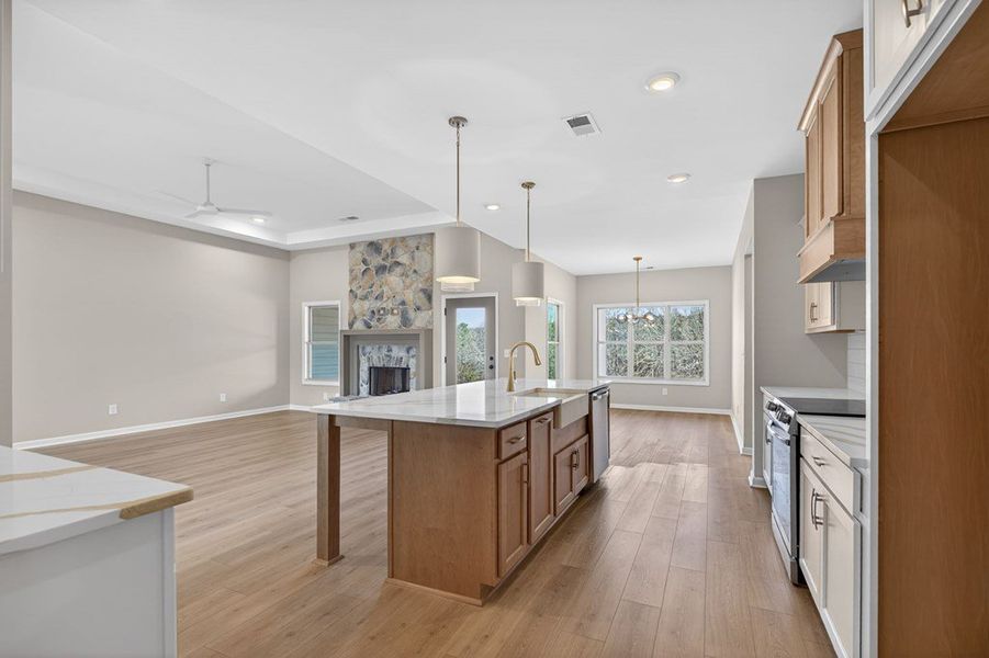Furnished interior view inside a new home in Blackwelder Bluff, Bowdon (Image 9).