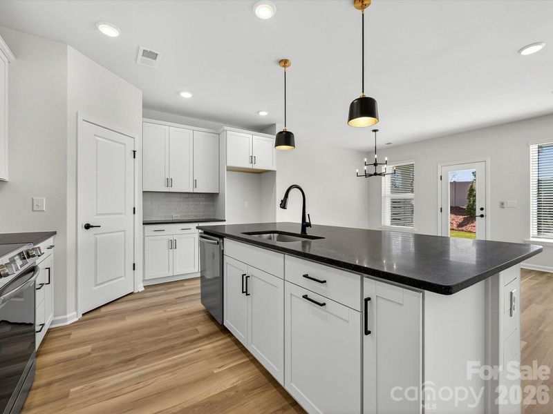 honed granite countertops, 42' cabinets with soft close doors & drawers, tiled backsplash, Frigidaire gallery appliances, microwave is exhaust vented to the outside. Oversized pantry with solid shelving. Shiplap accent on island.LVP flooring throughout the main level of the home