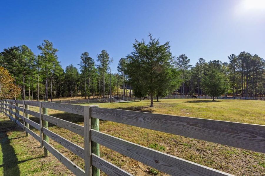 Natural landscape and outdoor views near  in Rydal (Image 104).