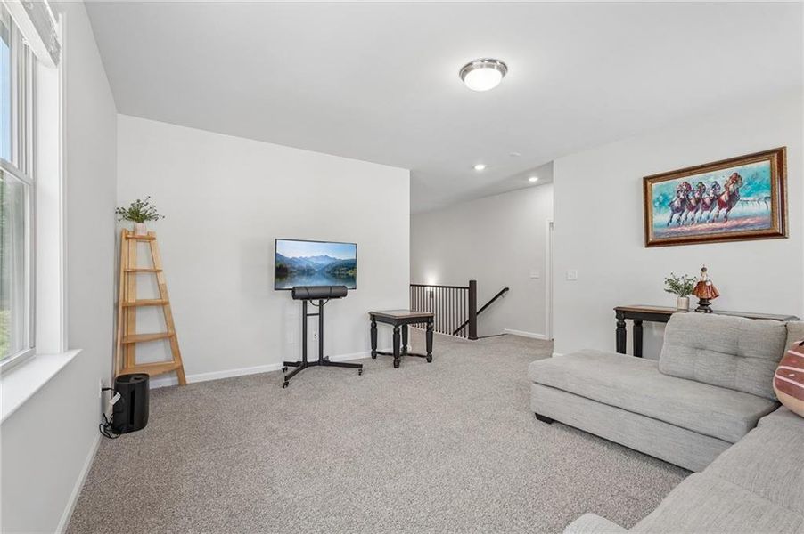 Furnished interior view inside a new home in Haley Station, Canton (Image 5).