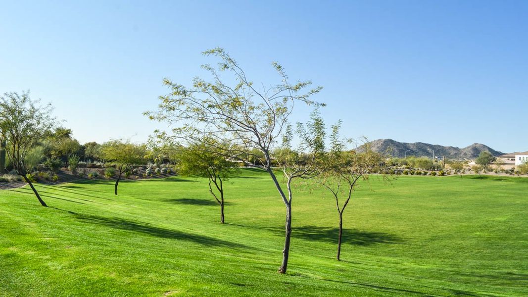 Community amenities associated with the Amherst by D.R. Horton in Aloravita, Peoria (Image 25).