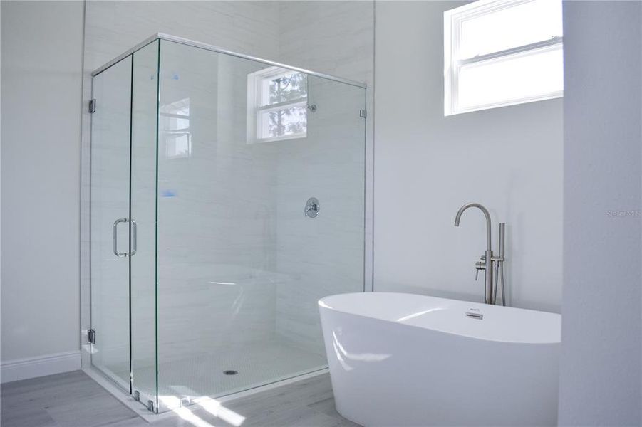 Furnished interior view inside a new home in , Lake Alfred (Image 5).