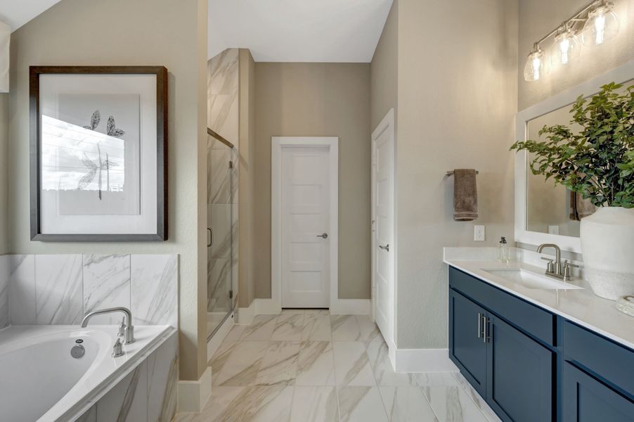Owner's Bathroom
