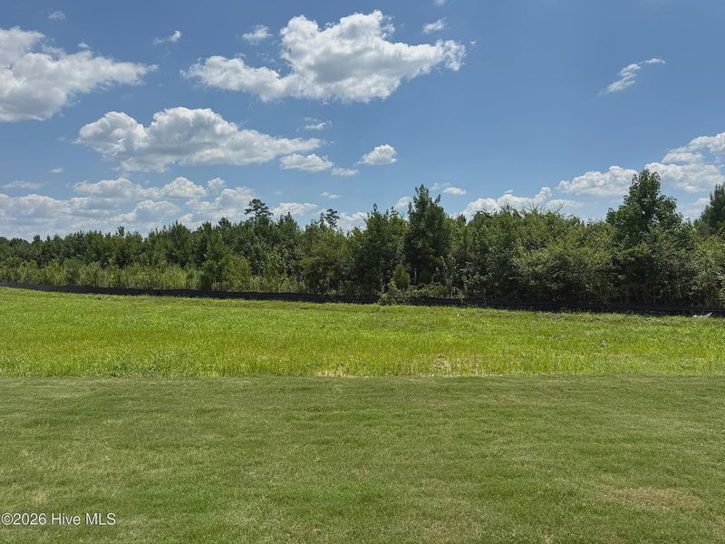 Natural landscape and outdoor views near Joyner Park in Rocky Mount (Image 23).
