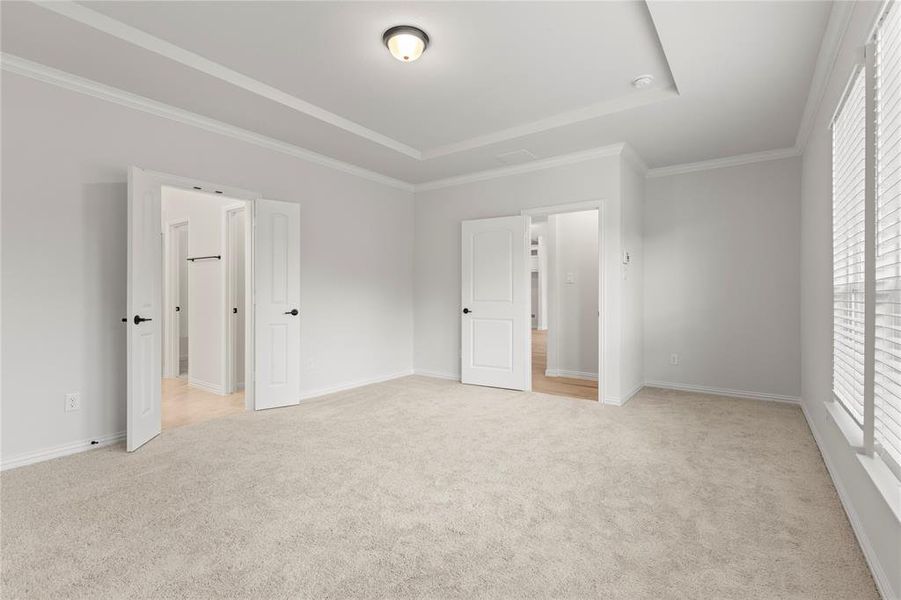 Unfurnished bedroom with crown molding, a raised ceiling, and light colored carpet