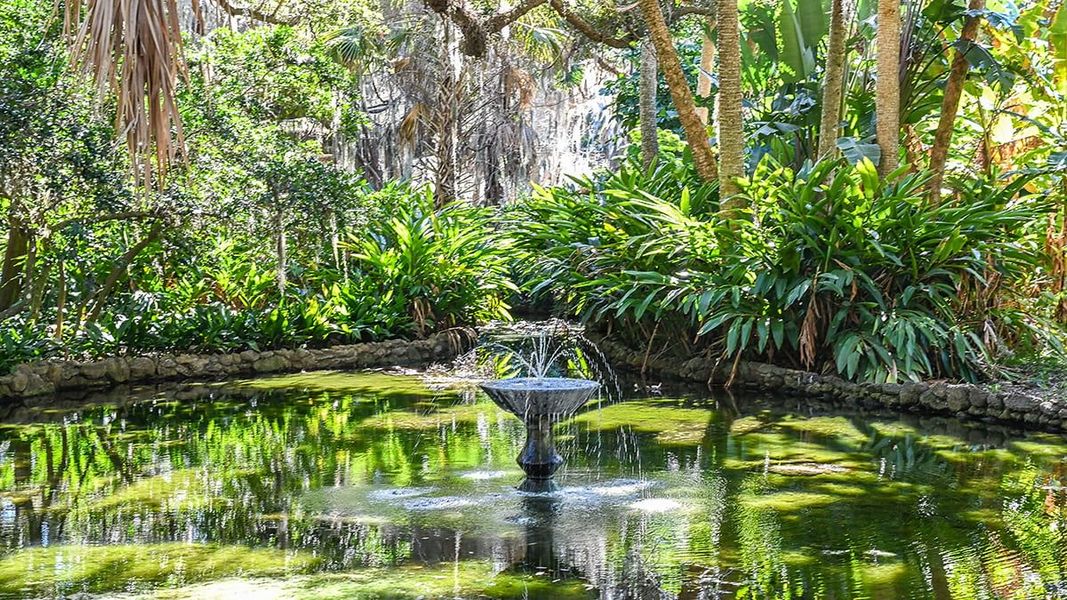 Natural landscape and outdoor views near Colbert Landings in Palm Coast (Image 97).