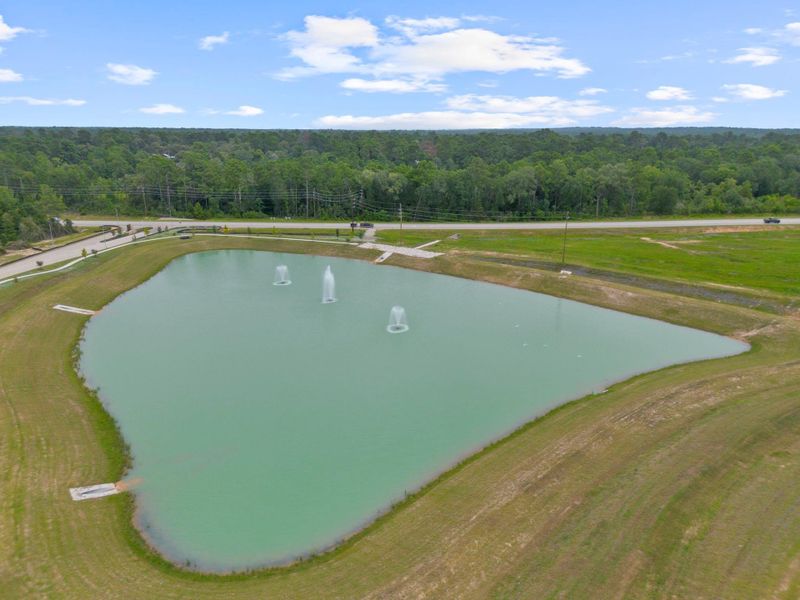 Natural landscape and outdoor views near Spring Creek Trails in Magnolia (Image 41).