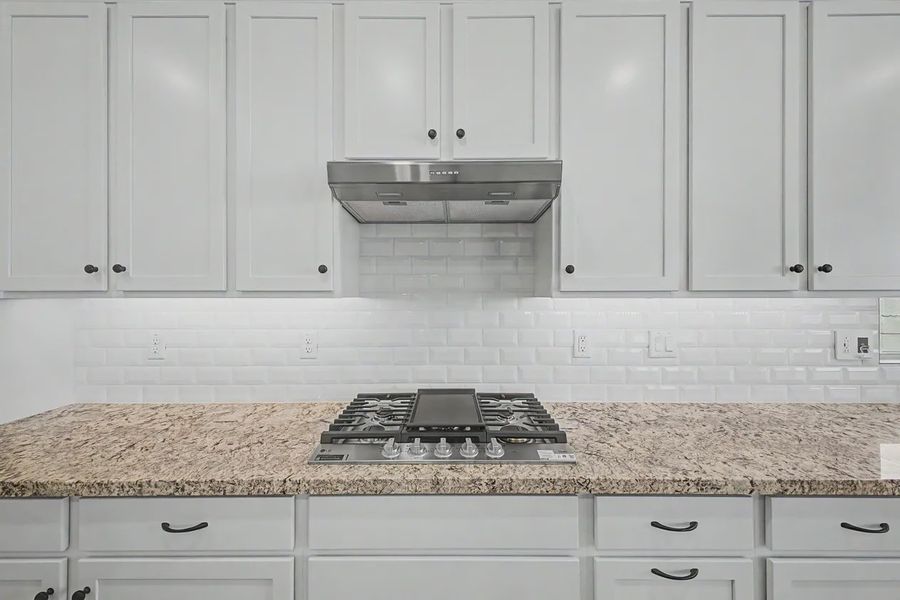 Close-up of interior finishes inside a home in Forté at Granite Vista, Waddell (Image 21).